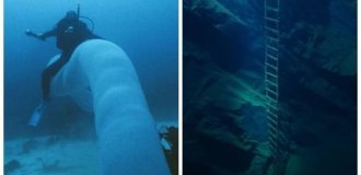 15 creepy shots of the seabed that can cause thalassophobia (16 photos)