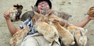 Похмуре минуле милого кролячого острова в Японії (7 фото)