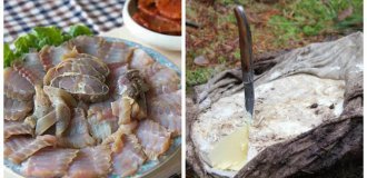 9 Dishes from Around the World The world's most popular foods, which are buried in the ground before being eaten (10 photos)