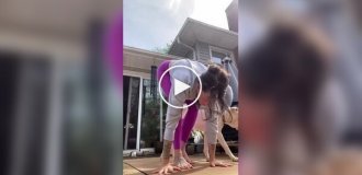 A dog decorated his owner's video