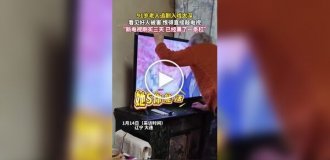 Бурная реакция 91-летней китаянки на сериалы