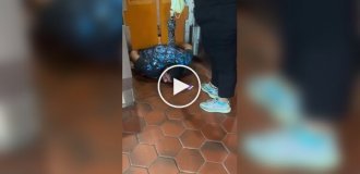 Попытка пройти без билета закончилась застреванием