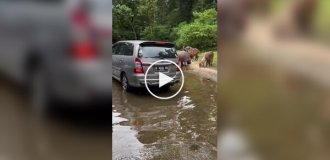 Самый большой автомобиль