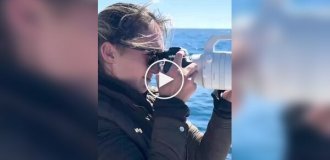 В Калифорнии случайно запечатлели, как тысячи дельфинов пронеслись мимо лодки