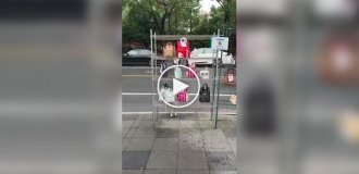 Пес забирает заказ с едой в Китае