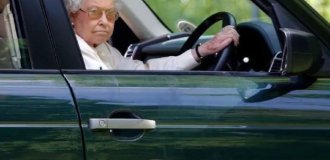 Хорошее настроение по дороге на работу (8 фото)