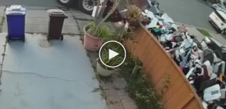 Владелец компании по вывозу мусора наказал должника