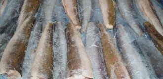 Три вида рыб, которые всегда продаются без головы (8 фото)