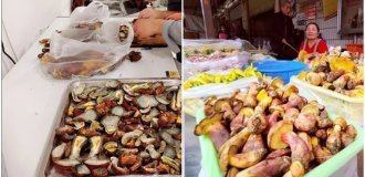 Маленькие человечки в тарелке: в Китае продают гриб, который отправляет людей в гости к лилипутам (2 фото)