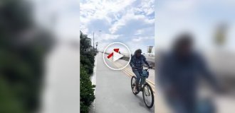 Пилот чудом посадил самолет на пляже в Сан-Диего