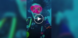 A fish that is respected and untouched by predators