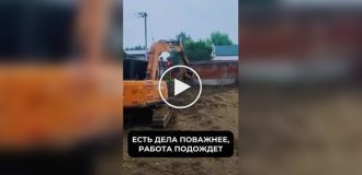 Пес катается в ковше экскаватора