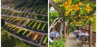 15 уголков планеты, где природа и гений человека говорят на одном языке (16 фото)