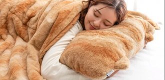 Cat-shaped bedding (9 photos)