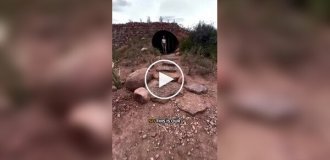 Дом Флинстоунов наяву: Необычное жилье на Airbnb