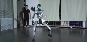Люди продолжают обижать роботов