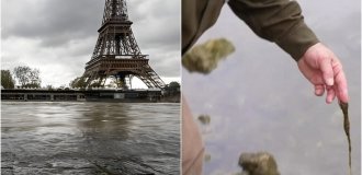 50 тысяч кубометров сточных вод попали в Сену (2 фото + 1 видео)