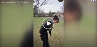 Дятел сел на полицейскую и не хотел улетать