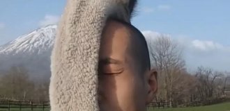 Оказывается, страусы любят лысых людей (7 фото + видео)
