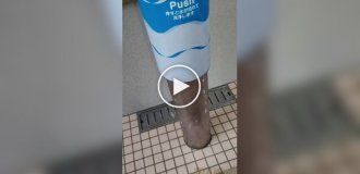 Public restrooms for dogs in Japan