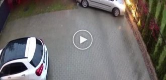 A talented driver