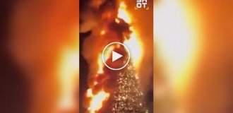 В грузинском городе Гардабани сгорела главная новогодняя елка