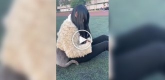 Из жизни котов-интровертов