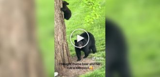 Женщина поставила в саду бассейн для медведицы с медвежатами