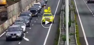 Лебедь устроил пробку на A27 под Горинхемом