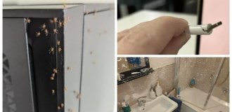 30+ примеров, когда жизнь преподнесла неприятные сюрпризы (33 фото)