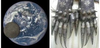 18 stunning photos that will change your view of the world (19 photos)