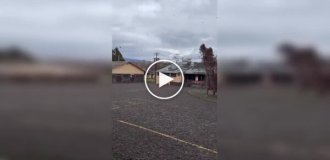 На Гавайях вулкан Килауэа выбросил «дождь» из камней