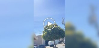 Парень превратил свой потолок в интерактивную карту самолетов