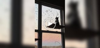 Лучшее шоу в его жизни
