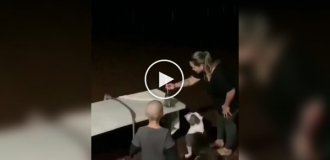 Funny dog ​​reaction to fireworks