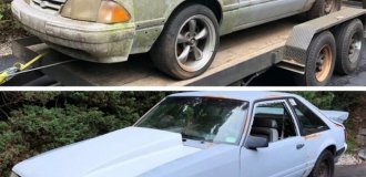 Вся сила чистоты (19 фото)