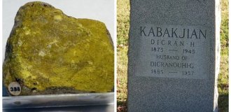 Уютная ловушка: как дом учёного превратился в вечный памятник эпохи радиевой лихорадки (5 фото)