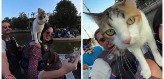 В Бангкоке мужчина катает туристов на лодках с котами (4 фото + 1 видео)