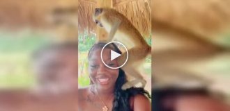 Фото с обезьяной обернулось неожиданностью