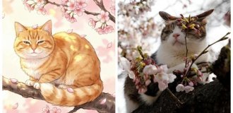 35 фото котейок, які зустріли весну і раніше відчули її красу (36 фото)