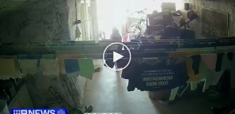 Кенгуру збив з ніг дівчинку