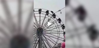 Indian Spider-Man