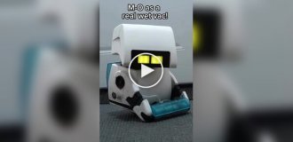 Девушка сделала робота Д-ОКа из «ВАЛЛ-И»