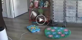 While the owner isn't looking