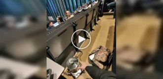 A student brought a live lobster to a lecture and cooked it right in the classroom