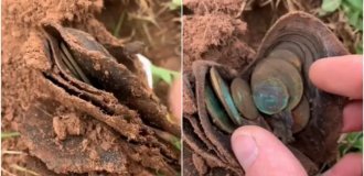 Неймовірний успіх: чоловік знайшов у землі мішечок з рідкісними скарбами (2 фото + 1 відео)