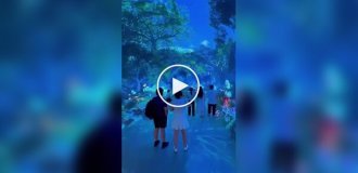 Другое измерение: на видео сняли центр цифрового искусства Space and Time Cube & Time Cube, Видео, Люди, Малайзия, в мире, круто, центр цифрового искусства