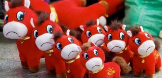 Недовольный символ Китайского Нового года (3 фото)