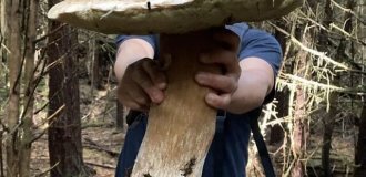 Happy mushroom pickers and their forest treasures (19 photos)