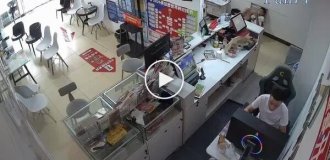 Кот случайно купил лотерейный билет